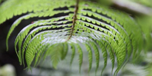 Praxis Bonn Praxis Bonn