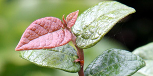 Gesetzliche u. Private Krankenkassen Gesetzliche u. Private Krankenkassen